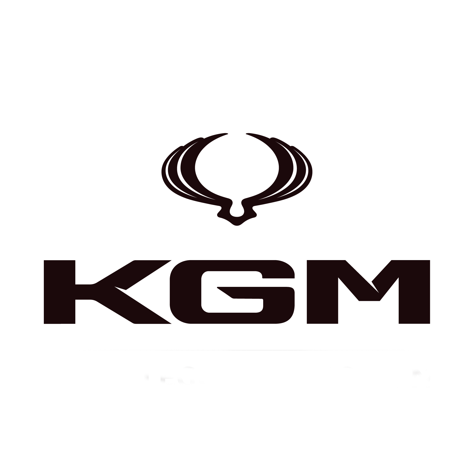 Logo Cliente de Eleva KMG